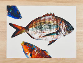 SET DAURADE POISSON ORANGE / réf 0015