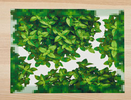 SET BASILIC PIXELS / réf 0025