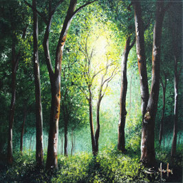 Forest is Bliss