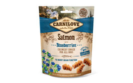 Crunchy Snack Lachs & Blaubeeren, 200 g
