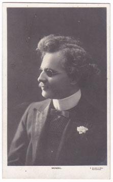 Mendel. Blind pianist and composer. S Wilson, Rotherham