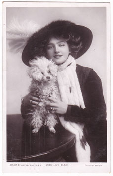 Lily Elsie. Rotary 11502 B
