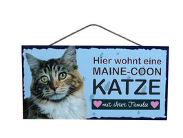 Holzschild Main Coon