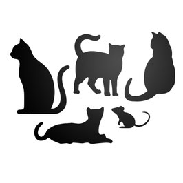 Element Flex Cat