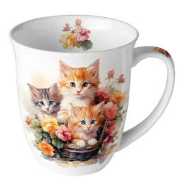 Tasse Kitten in the basket
