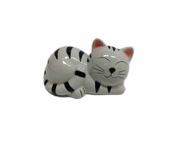 Sparkasse Katze