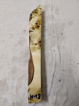 Pappel Maser Mapa 46 x 6 - 4,5 x 5 cm Epoxid Holz H 18