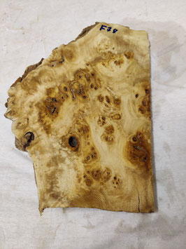 Pappel Maser Mapa 31 x 22 - 10 x 6 - 1 cm Epoxid Holz F 78