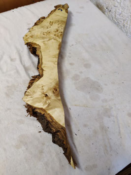 Pappel Maser Mapa 65 x 15 - 7 x 5 cm Epoxid Holz F 4