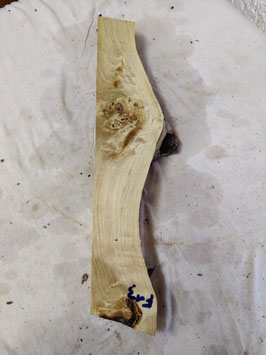 Pappel Maser Mapa 49 x 12 - 7 x 4 cm Epoxid Holz F 13