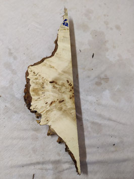 Pappel Maser Mapa 46 x 13 - 1 x 5 cm Epoxid Holz F 52