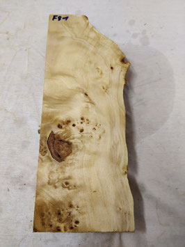 Pappel Maser Mapa 38 x 13  x 4,5 cm Epoxid Holz F 81