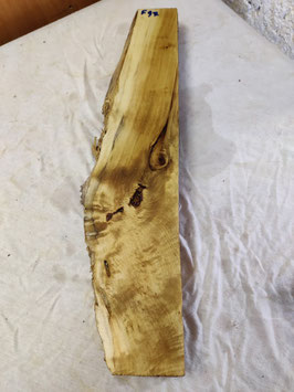 Pappel Maser Mapa 60 x 14 - 9 x 5 cm Epoxid Holz F 97