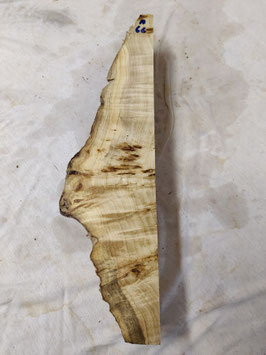 Pappel Maser Mapa 41 x 11 - 2 x 7,5 cm Epoxid Holz H 66