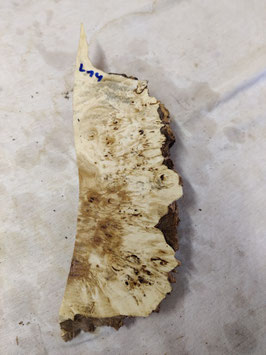 Pappel Maser Mapa 33 x 11 - 1 x 5 cm Epoxid Holz L 14
