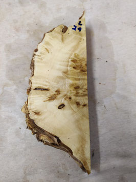 Pappel Maser Mapa 30 x 11 - 1 x 4,5 cm Epoxid Holz L 29