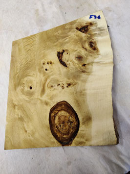 Pappel Maser Mapa 34 x 26 x 4,8 cm Epoxid Holz F 36