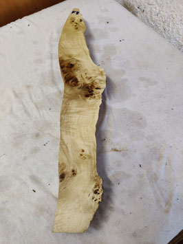 Pappel Maser Mapa 63 x 11 - 2 x 5,5 cm Epoxid Holz F 8