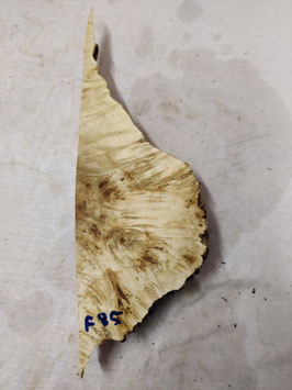 Pappel Maser Mapa 45 x 13 - 1 x 5 cm Epoxid Holz F 85