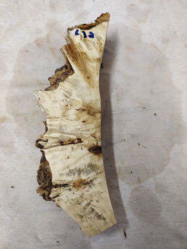 Pappel Maser Mapa 29 x 9 - 2 x 4,5 cm Epoxid Holz L 32