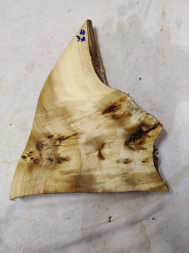 Pappel Maser Mapa 32 x 24 - 1 x 4 cm Epoxid Holz H 37