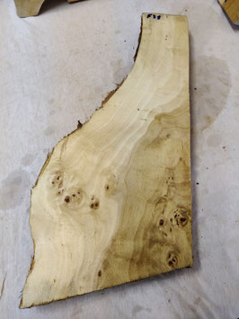 Pappel Maser Mapa 57 x 25 - 10 x 5 cm Epoxid Holz F 39
