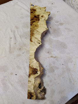 Pappel Maser Mapa 64 x 13 - 2 x 5 cm Epoxid Holz F 9