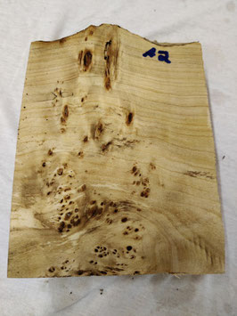Pappel Maser 22 x 17 x 6 cm Drechselholz A 2