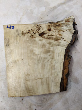 Pappel Maser Mapa 26 x 25  x 5 cm Epoxid Holz L 22