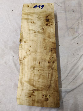 Pappel Maser 36 x 12 x 6 cm Drechselholz A 19