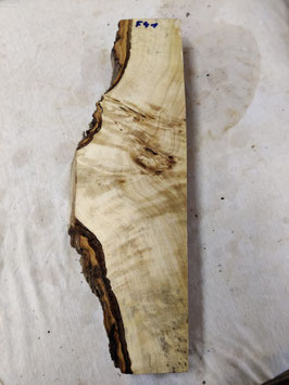 Pappel Maser Mapa 46 x 14 - 7 x 5,5 cm Epoxid Holz F 41
