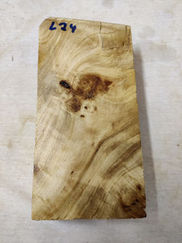 Pappel Maser Mapa 21 x 11 x 5,2 cm Epoxid Holz L 24