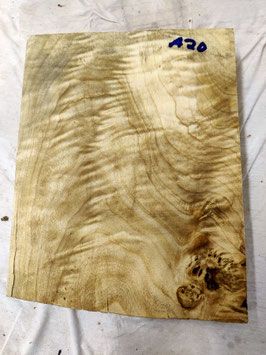 Pappel Maser 28 x 22 x 5 cm Drechselholz A 20