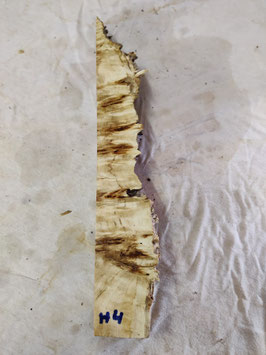 Pappel Maser Mapa 40 x 6 - 1 x 4,5 cm Epoxid Holz H 4