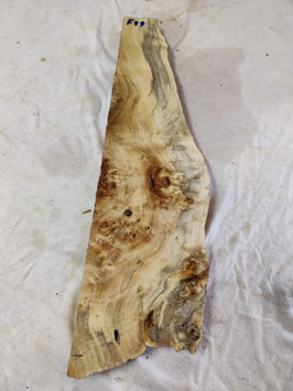Pappel Maser Mapa 51 x 14 - 6 x 3 cm Epoxid Holz F 99
