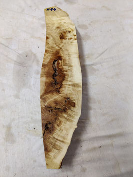 Pappel Maser Mapa 46 x 11 - 3 x 6 cm Epoxid Holz H 94