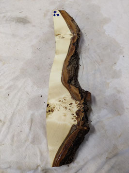 Pappel Maser Mapa 45 x 10 - 6 x 4,5 cm Epoxid Holz H 67