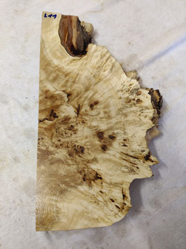 Pappel Maser Mapa 40 x 21 - 10  x 5 cm Epoxid Holz L 11