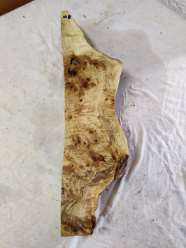 Pappel Maser Mapa 49 x 13 - 2 x 6 cm Epoxid Holz H 8