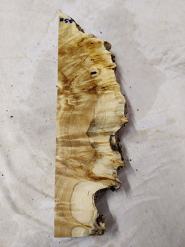 Pappel Maser Mapa 44 x 12 - 6 x 5 cm Epoxid Holz H 55