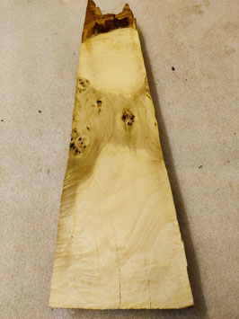 Pappel Maser Mapa Holz  50 x 15-10 x 5 cm  Drechselholz K 15