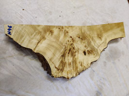 Pappel Maser 51 x 20 - 4 x 5 cm Drechselholz H 46