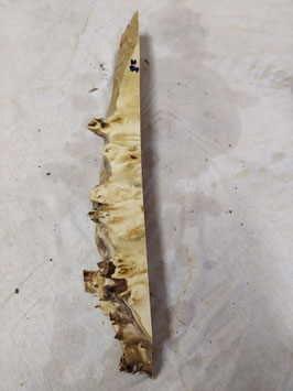 Pappel Maser Mapa 48 x 6 - 1 x 5,3 cm Epoxid Holz H 51