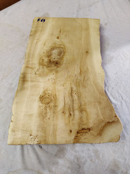 Pappel Maser Mapa 44 x 32 - 24 x 5 cm Epoxid Holz F 69