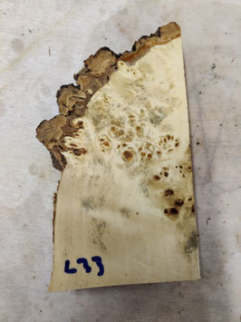 Pappel Maser Mapa 22 x 12 - 1 x 4,5 cm Epoxid Holz L 33