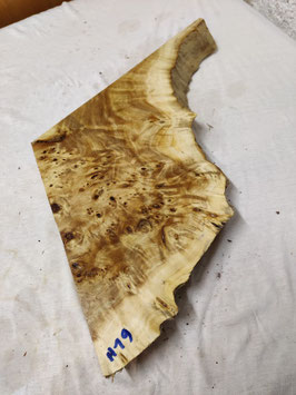 Pappel Maser Mapa 36 x 31 - 5 x 4 cm Epoxid Holz H 19