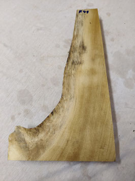 Pappel Maser Mapa 45 x 25 - 8 x 5 cm Epoxid Holz F 49