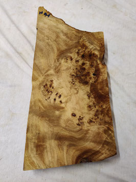 Pappel Maser Mapa 46 x 20 x 4,5 cm Epoxid Holz H 91