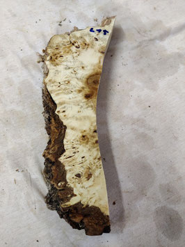 Pappel Maser Mapa 32 x 9 - 1 x 5 cm Epoxid Holz L 15