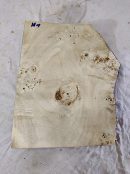 Pappel Maser Mapa 31 x 25 x 4,5 cm Epoxid Holz H 1